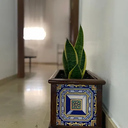 Vega House